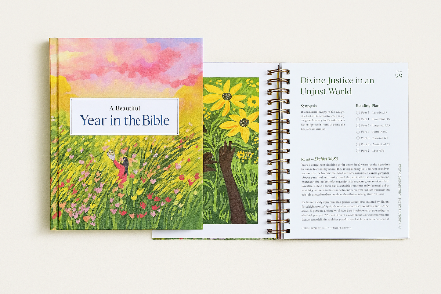 A Beautiful Year In The Bible - A 52 Week Bible Study for Women