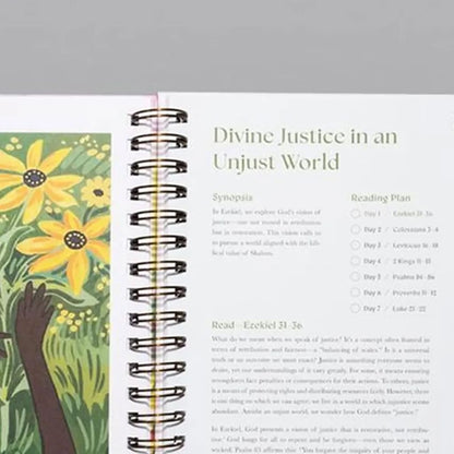 A Beautiful Year In The Bible - A 52 Week Bible Study for Women